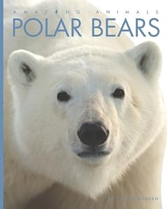 Polar Bears