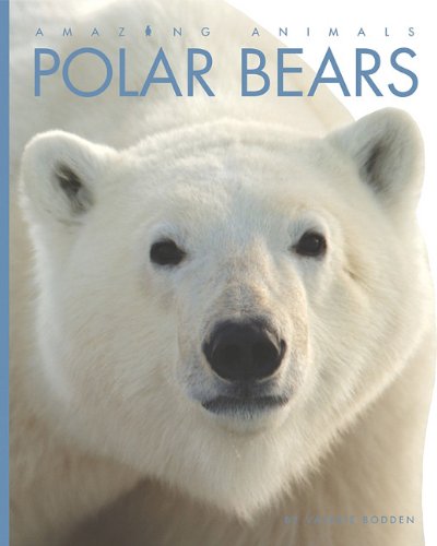Polar Bears by Valerie Bodden