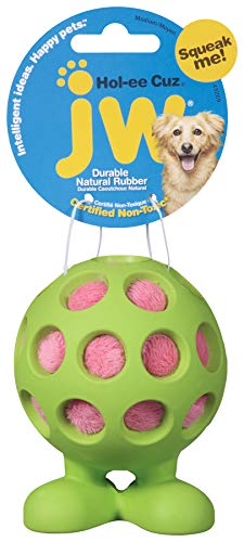 Algopix Similar Product 19 - JW Pet Company HolEe Cuz Medium Dog