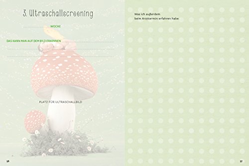 Schwangerschaftstagebuch: Anne Geddes - 