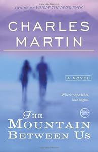 The Mountain Between Us: A Novel