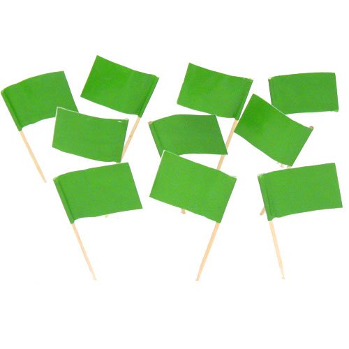 Green Flag Toothpicks (100)
