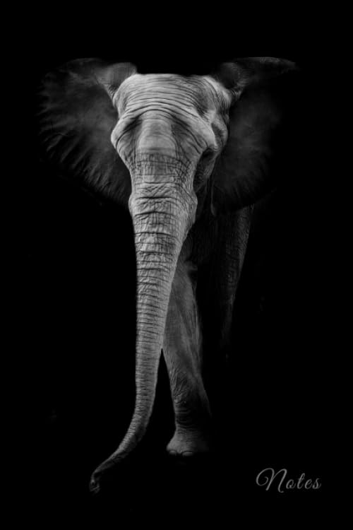 Notes: Password Book Cleverly Disguised With Beautiful Design / Artistic Black White Elephant Photo Cover / Discreet Internet Username and Login Logbook / Alphabetical Tabs Large Print by Keep My Stuff Books