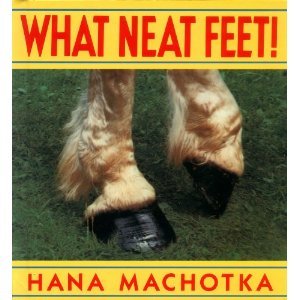 What Neat Feet!