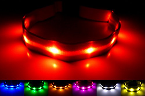 NEW - GoDoggie-GLOW - USB Rechargeable LED Dog Safety Collar - 7 Colours & 4 Sizes - Intro Offer - Super-Bright LED's Glow & Flash - Connects to Devices to Recharge - No Batteries Required - Great Fun & Improved Dog Safety - Red Medium