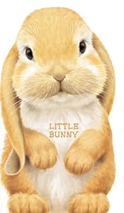 Little Bunny by L. Rigo                       (Illustrator)
