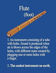 Flute: The Coolest Instrument On Earth by Noon Sun Handy Books