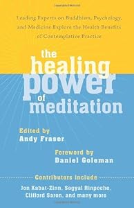 The Healing Power of Meditation: Leading Experts on Buddhism, Psychology, and Medicine Explore the Health Benefits of Contemplative Practice by Andy Fraser