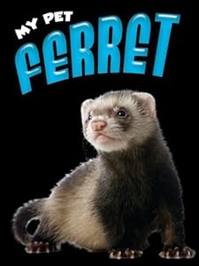 Ferret
