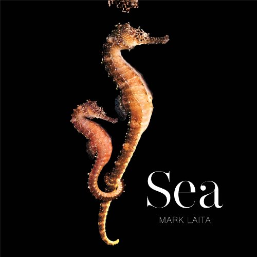 Sea by Mark Laita