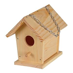Amazon.com Build a Bird House Childrens Wood Craft 