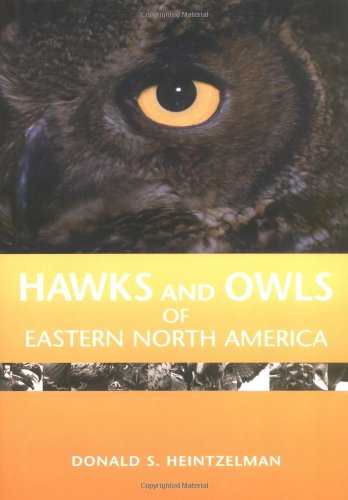 Hawks and Owls of Eastern North America by Donald S. Heintzelman