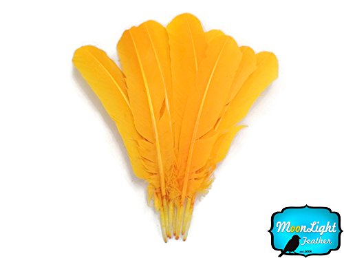 Algopix Similar Product 10 - Feathers Turkey Feathers  Gold Turkey