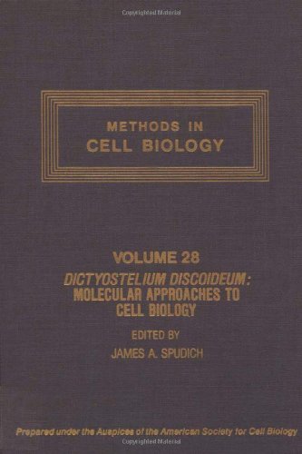 METHODS IN CELL BIOLOGY,VOLUME 28: DICTYOSTELIUM DISCOIDEUM: MOLECULAR APPROACHES TO CELL BIOLOGY, Volume 28 by Author Unknown