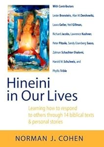 Hineini in Our Lives: Learning How to Respond to Others Through 14 Biblical Texts & Personal Stories by Norman J. Cohen