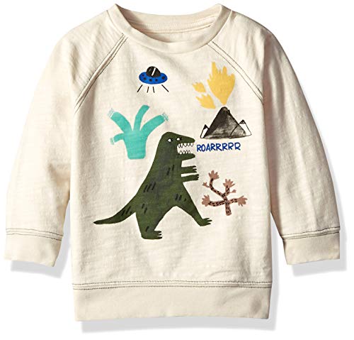 Algopix Similar Product 4 - Gymboree Baby Boys Long Sleeve Pullover