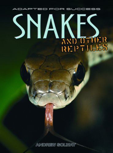 Snakes and Other Reptiles (Adapted for Success) by Andrew Solway