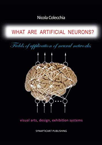 What are artificial neurons? by Nicola Colecchia