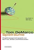 Spielräume. Projektmanagement jenseits von Burn-out, Stress und Effizienzwahn. - Tom DeMarco