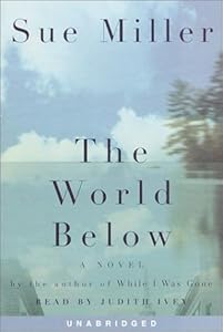 The World Below by Sue Miller
