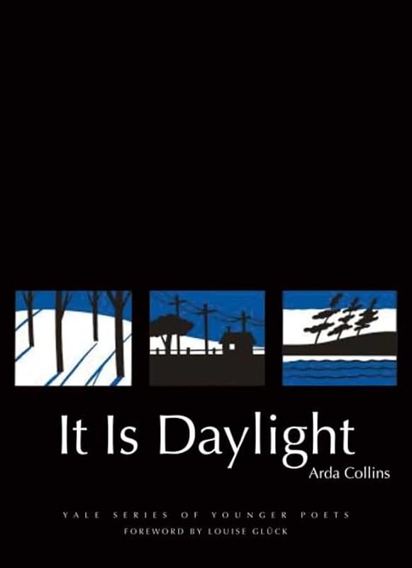 It Is Daylight (Yale Series of Younger Poets) by Arda Collins