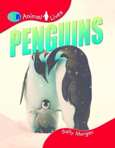 Penguins by Sally Morgan