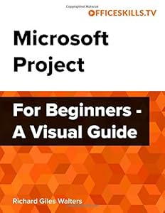 Microsoft Project For Beginners - A Visual Guide