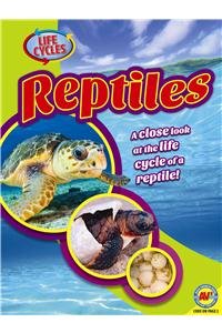 Reptiles by Jack Zayarny
