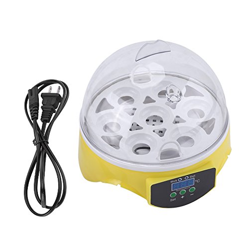 Algopix Similar Product 20 - 7 Egg Incubator Mini Automatic Clear