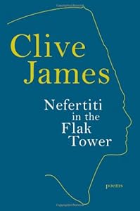 Nefertiti in the flak tower : poems.