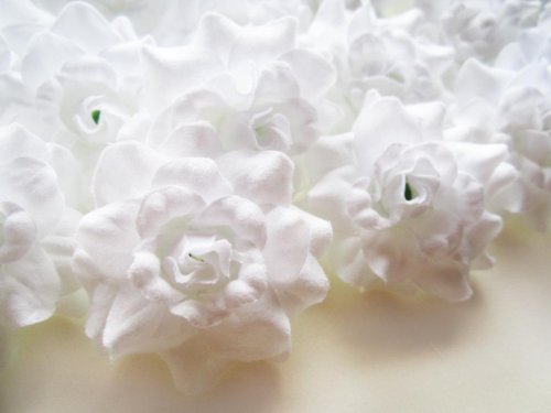(24) Silk White Roses Flower Head - 1.75