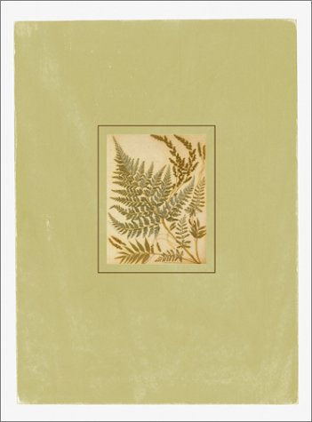 Ferns Postal Cards: 24 Postal Cards by New York Botanical Garden