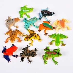 ~ 12 ~ Poison Dart Frogs ~ 1.5 Inch Plastic ~ NEW