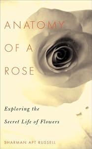 Anatomy Of A Rose: Exploring The Secret Life Of Flowers by Sharman Apt Russell