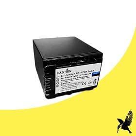 Halcyon 2500 mAH Lithium Ion Replacement Battery for Sony NEX-VG20 Interchangeable Lens 16.1 MP HD Handycam Digital Camcorder and Sony NP-FV100