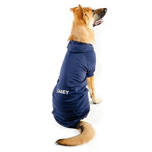 Algopix Similar Product 11 - Personalized Casual Canine Dog Hoodie