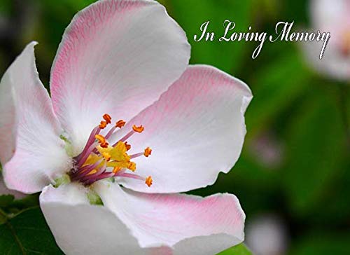 In Loving Memory: A Pink Blossom Memorial Service Guest Book by M2MParty Designs