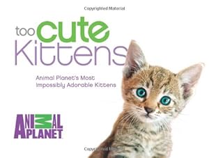 Too Cute Kittens: Animal Planet's Most Impossibly Adorable Kittens