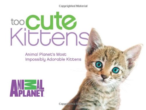 Too Cute Kittens: Animal Planet's Most Impossibly Adorable Kittens by Animal Planet
