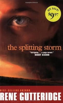 The Splitting Storm (The Storm Series #1)