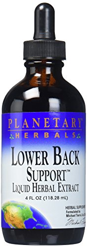 Algopix Similar Product 4 - PLANETARY HERBALS Lower Back Support