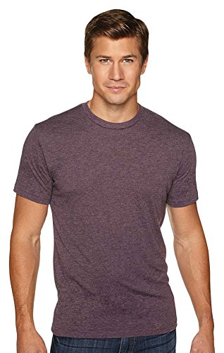 Next Level Apparel Men's TriBlend Knit Crewneck T-Shirt