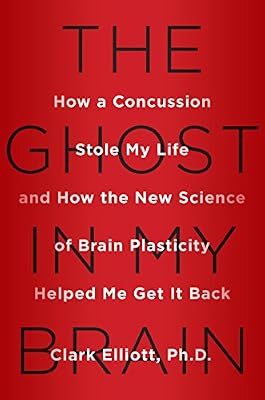 The Ghost in My Brain: How a Concussion Stole My Life and How the New Science of Brain Plasticity Helped Me Get it Back