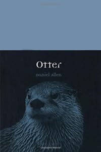 Otter by Daniel Allen