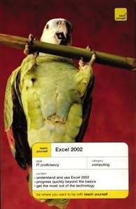 Teach Yourself Excel 2002