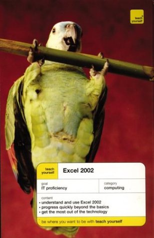 Teach Yourself Excel 2002 by Moira Stephen