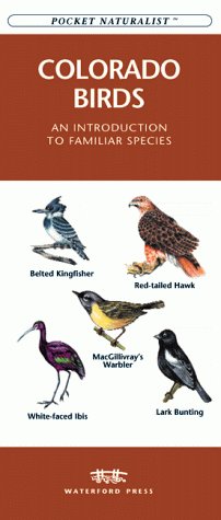 Colorado Birds: An Introduction to Familiar Species (Pocket Naturalist) by James Kavanagh