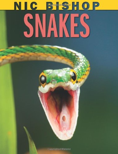Nic Bishop Snakes by Nic Bishop