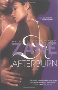 Zane's Afterburn: A Novel