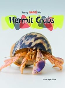 Hermit Crabs